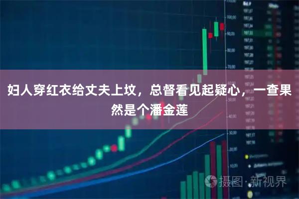 妇人穿红衣给丈夫上坟，总督看见起疑心，一查果然是个潘金莲