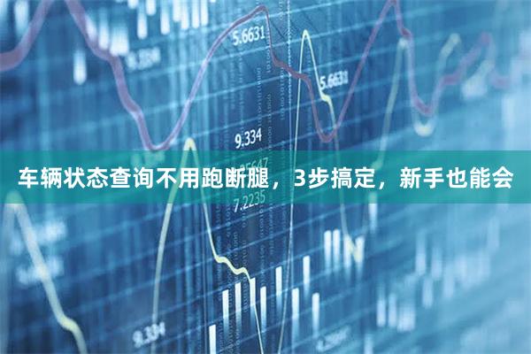 车辆状态查询不用跑断腿，3步搞定，新手也能会